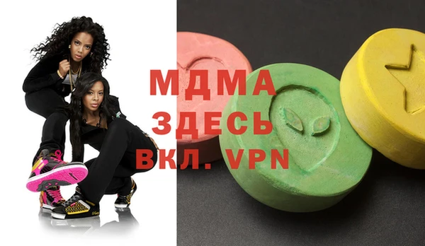 индика Горнозаводск
