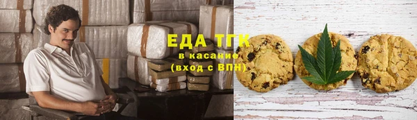 индика Горнозаводск