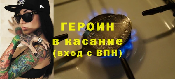 индика Горнозаводск