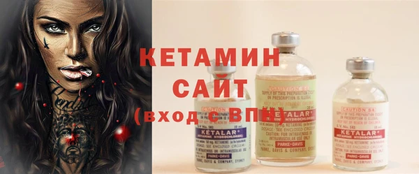 индика Горнозаводск