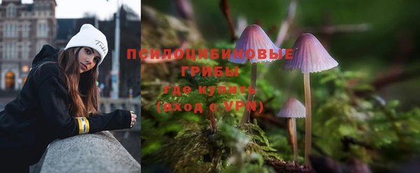 индика Горнозаводск