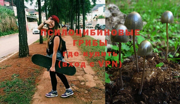 первитин Горно-Алтайск