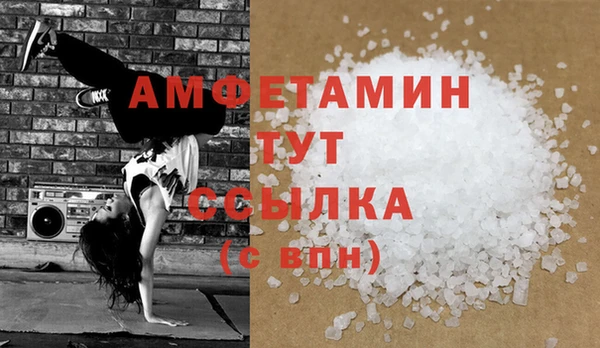 индика Горнозаводск