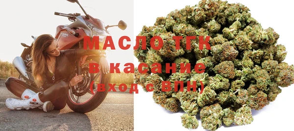 индика Горнозаводск