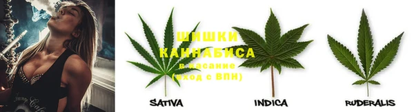 бошки Горняк