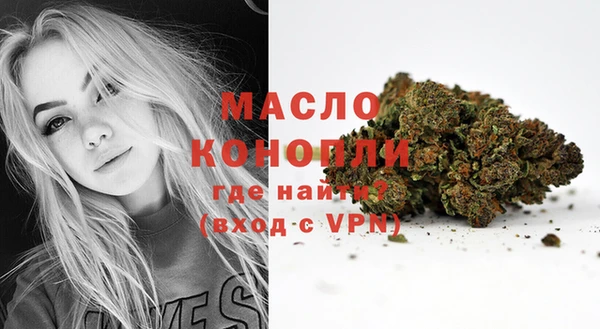 индика Горнозаводск