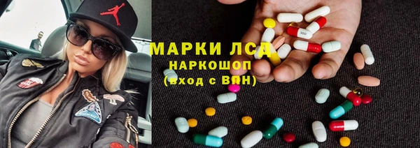 индика Горнозаводск