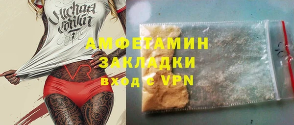 индика Горнозаводск