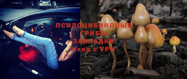 бошки Горняк
