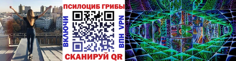 Псилоцибиновые грибы мухоморы  Купить  Кяхта 